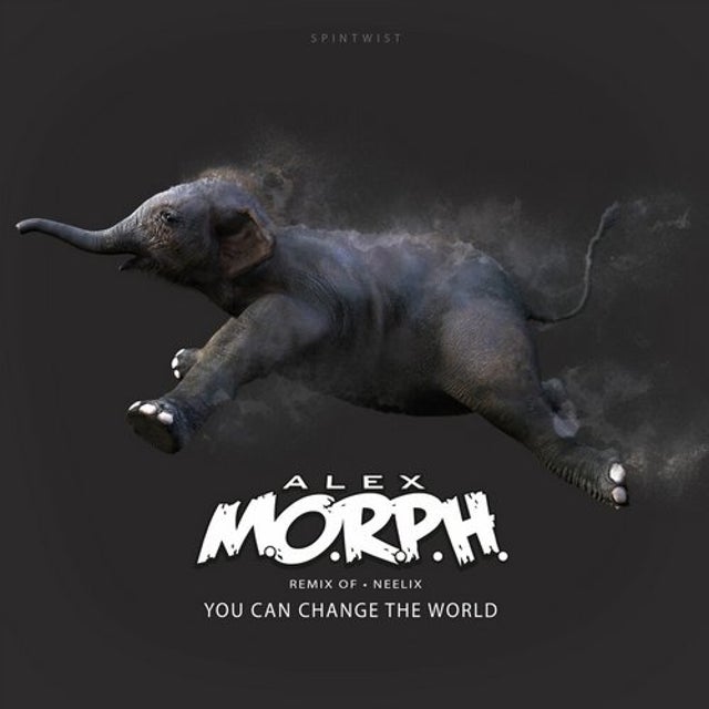 You Can Change The World - Alex M.O.R.P.H. Remix album art