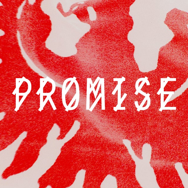 Promise album art