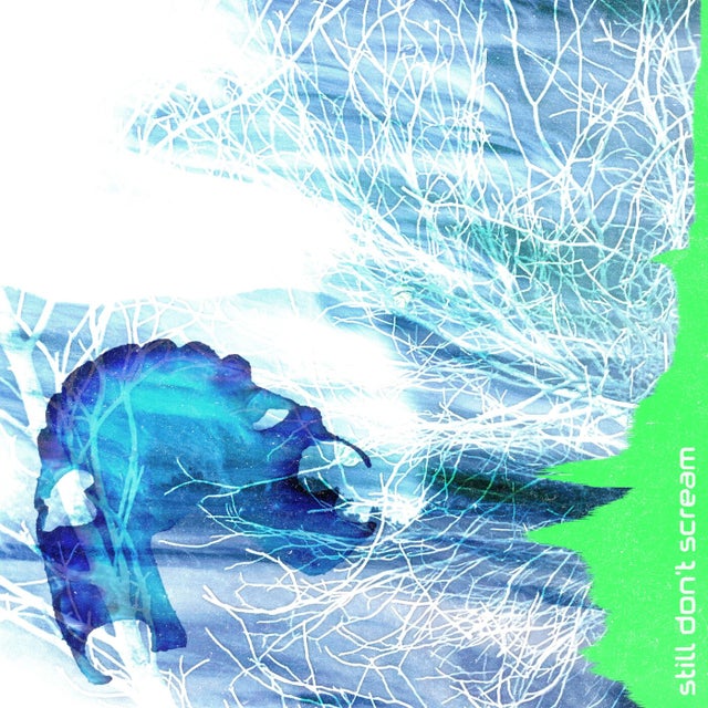 Still don't scream album art