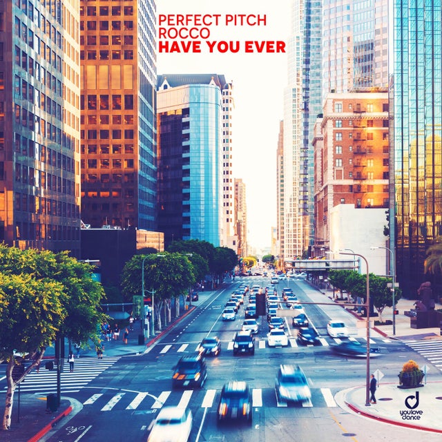 Have You Ever - Extended Mix album art