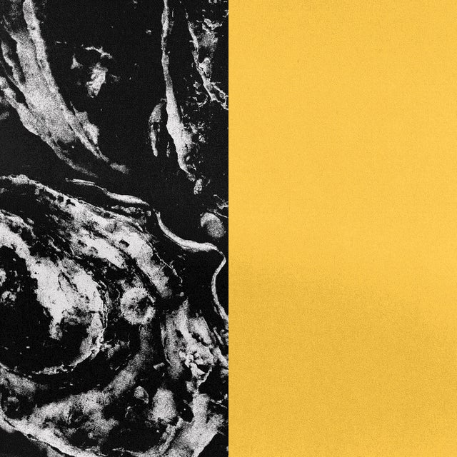 Choleric album art