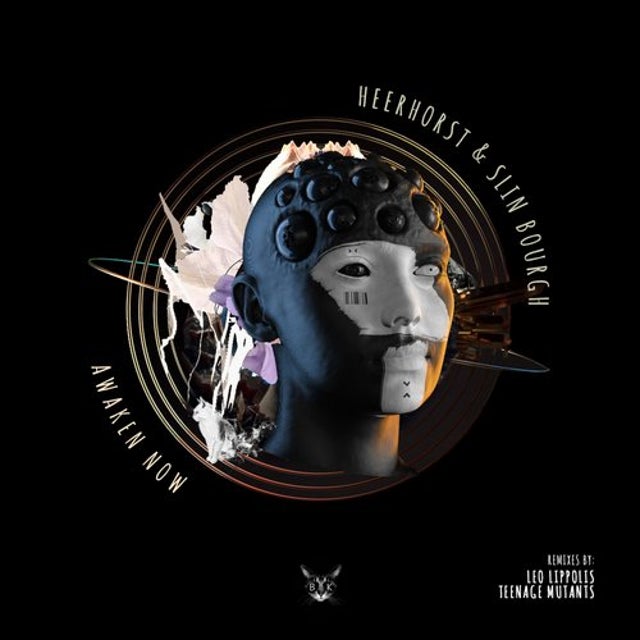 Awaken Now - Teenage Mutants Remix album art