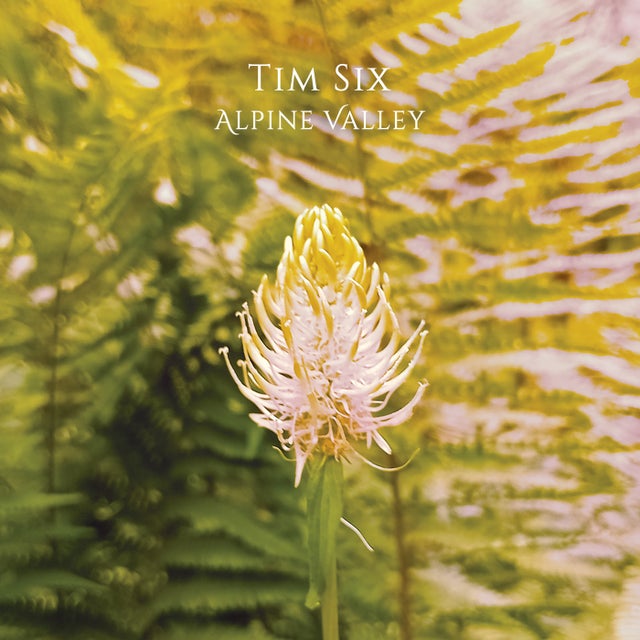 Alpine Valley (Day) album art