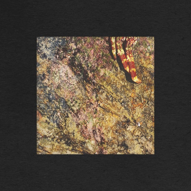 Getting Closer - Nevel Remix album art