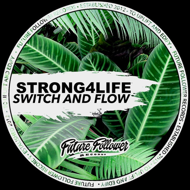Switch And Flow album art