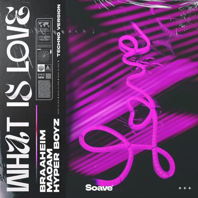 What Is Love - Techno Version Extended Mix album art