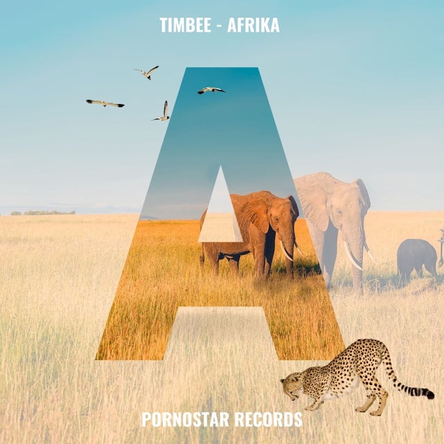 Afrika - Beatport Mix album art