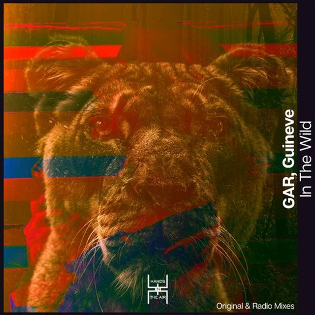 In The Wild album art