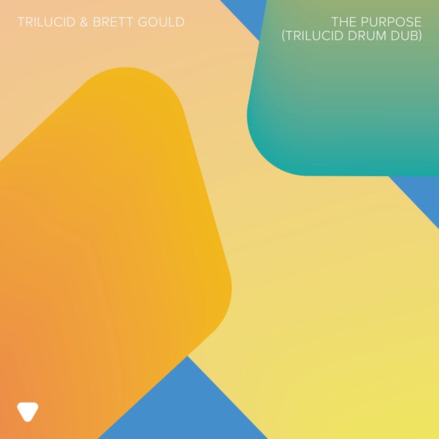 The Purpose - Extended Drum Dub album art
