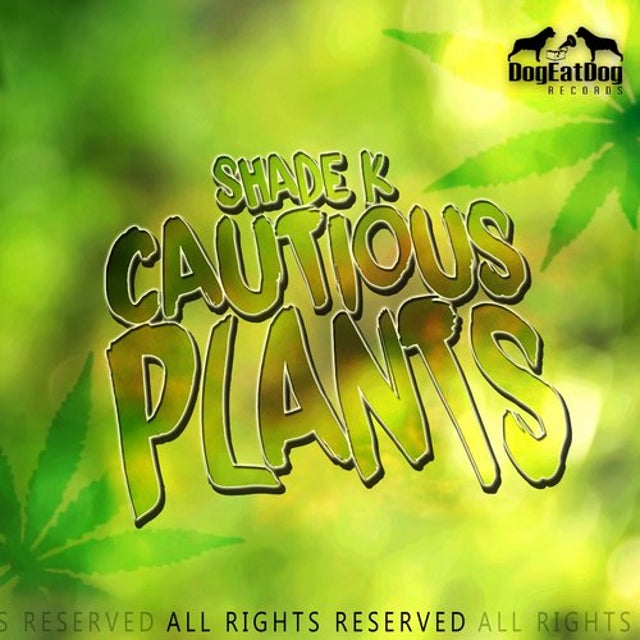 Cautious Plants album art