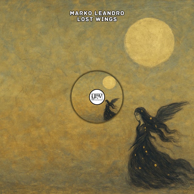 Lost Wings - Extended Mix album art