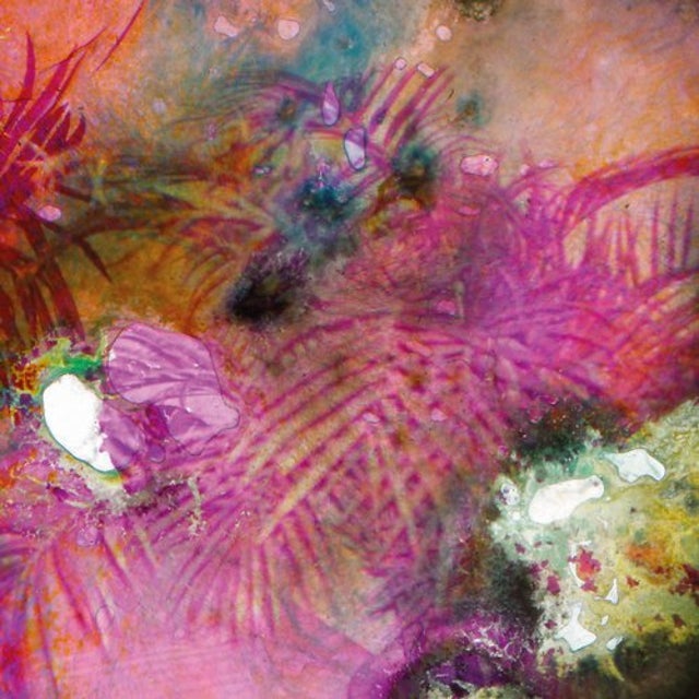 The Space Between Us album art