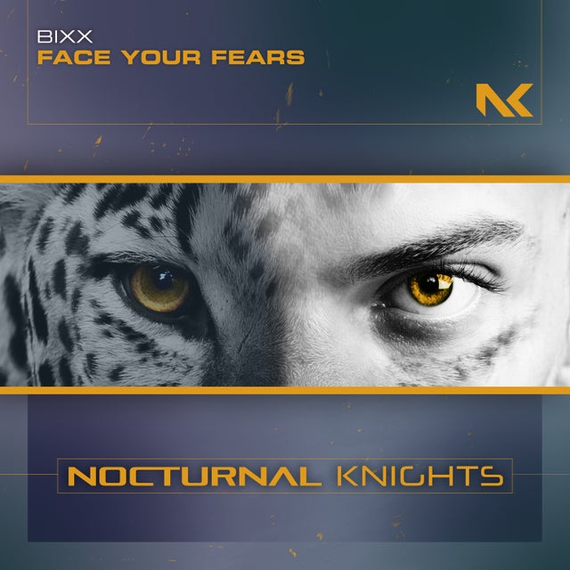 Face Your Fears - Extended Mix album art