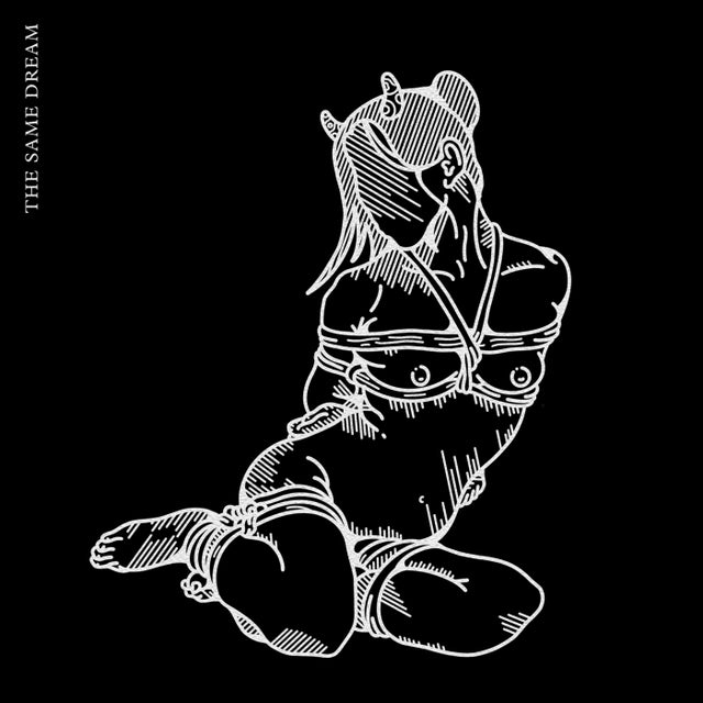 The Same Dream album art