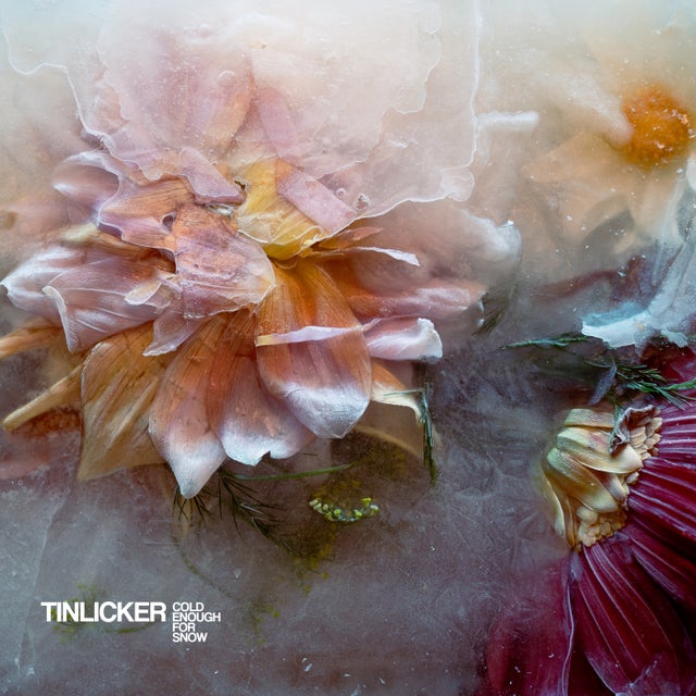 Blowfish album art