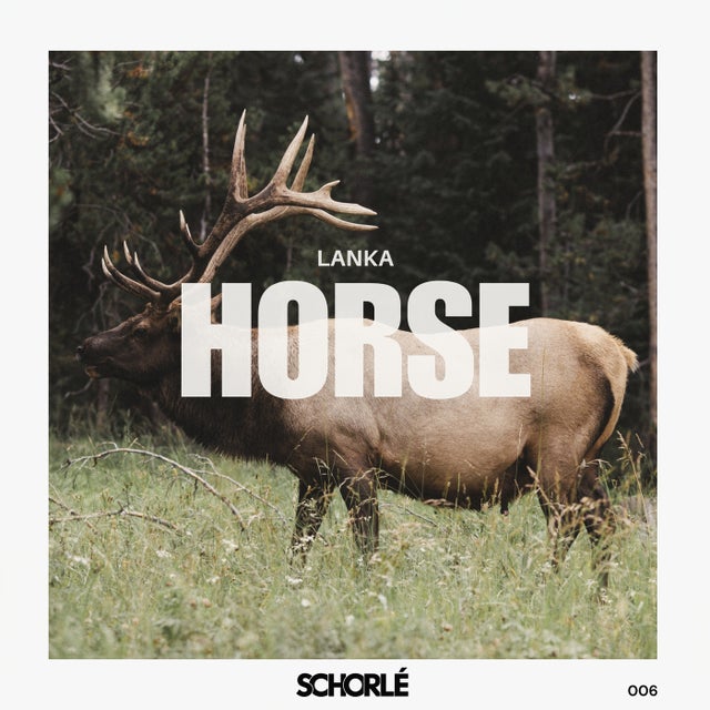 Horse album art