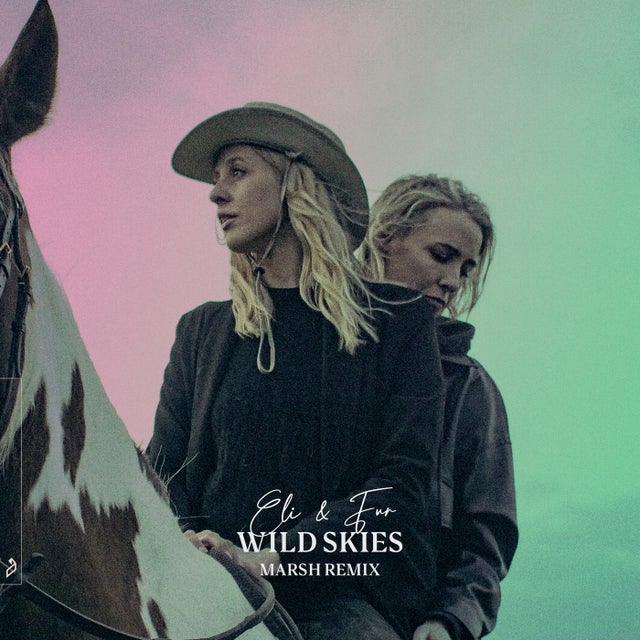 Wild Skies - Marsh Extended Mix album art