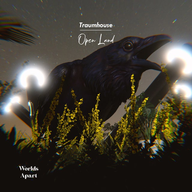Open Land - Extended Mix album art