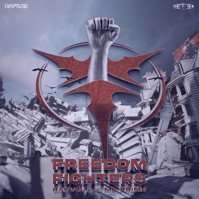 Freedom Fighters - Extended Mix album art