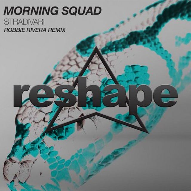 Stradivari - Robbie Rivera Remix Edit album art
