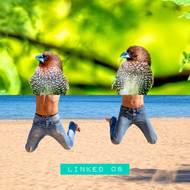 PLAISIR PLAISIR album art
