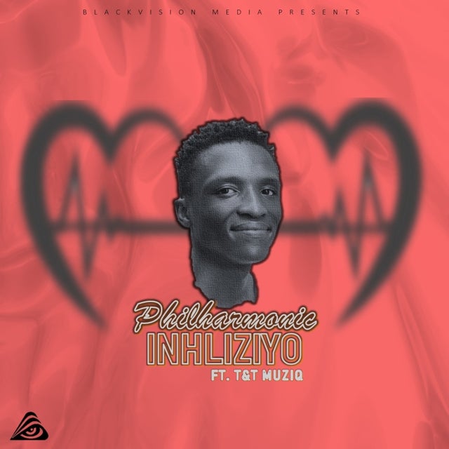 Inhliziyo feat. T&T MuziQ album art