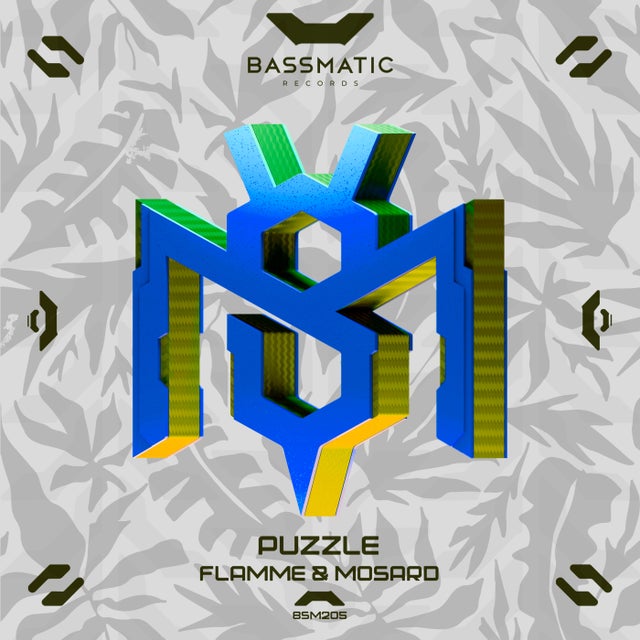 Puzzle album art