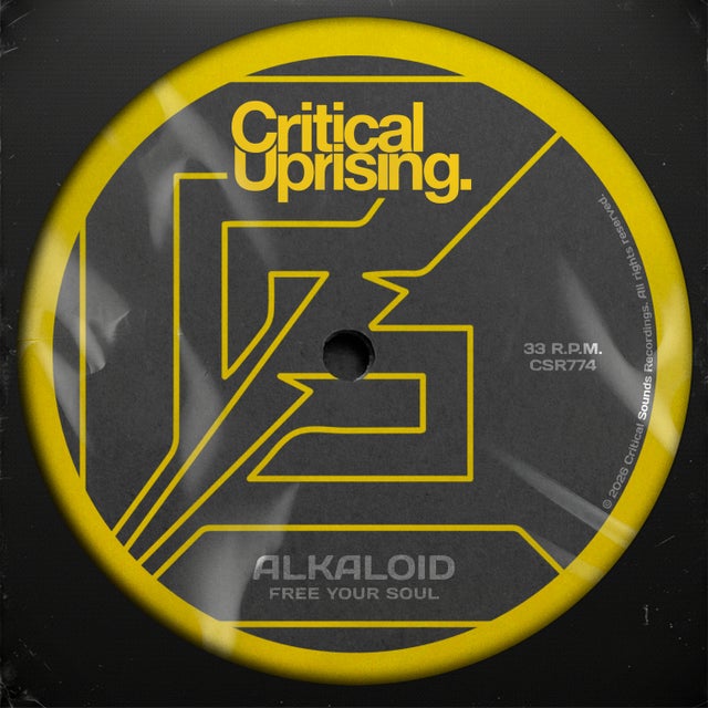Free Your Soul - Extended Mix album art