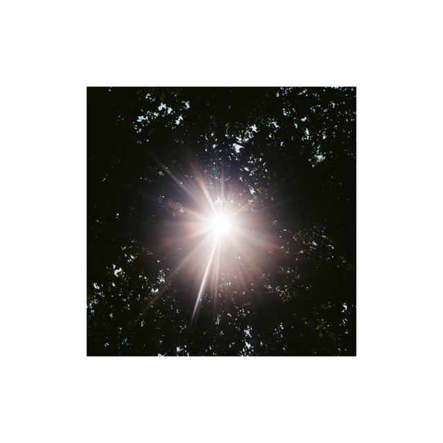 sudden awareness of an absence album art
