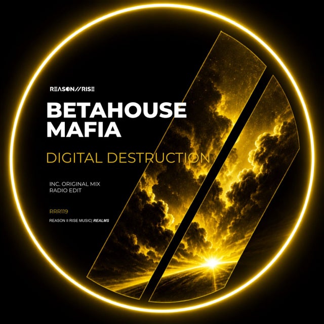Digital Destruction album art