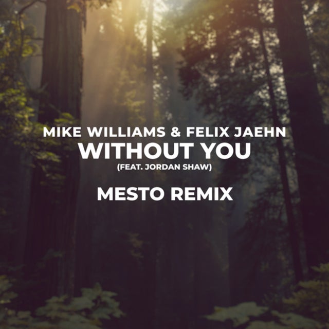 Without You - Mesto Extended Remix album art