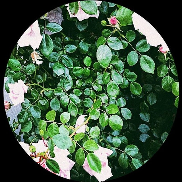 Broken Boy album art