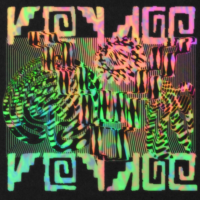 Voyage Voyage album art