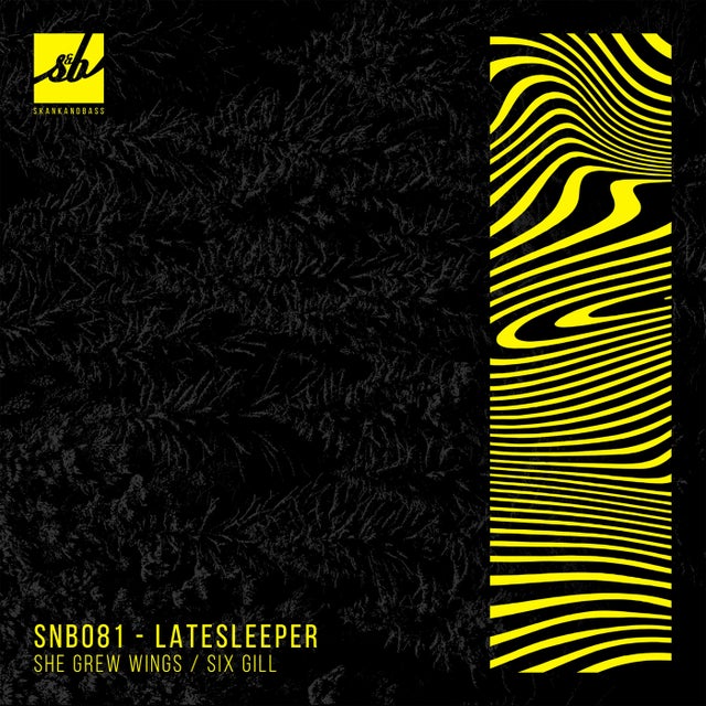 She Grew Wings album art