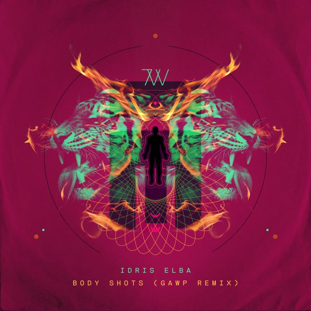Body Shots - GAWP Remix album art