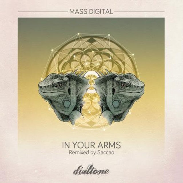 In Your Arms album art