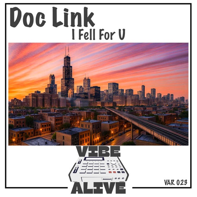 I Fell For U album art