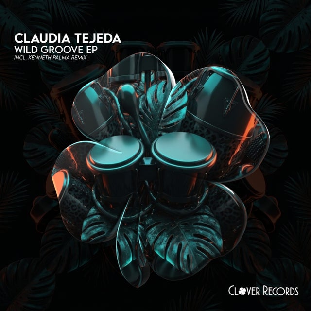 Wild Groove album art
