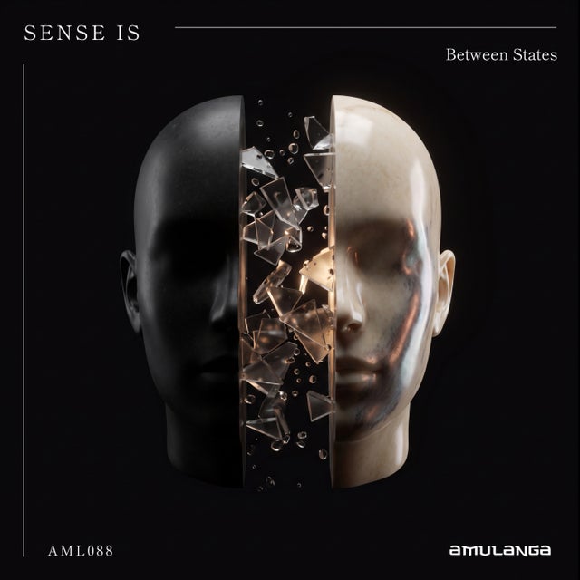 Between States - Extended Mix album art
