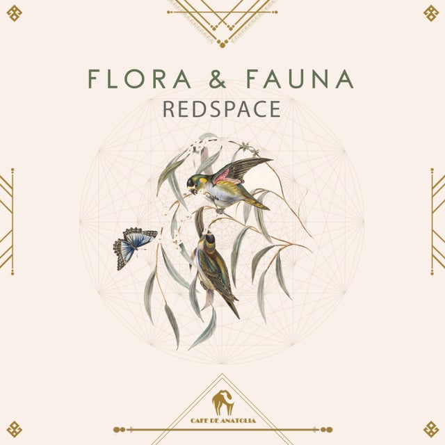 Tribal album art