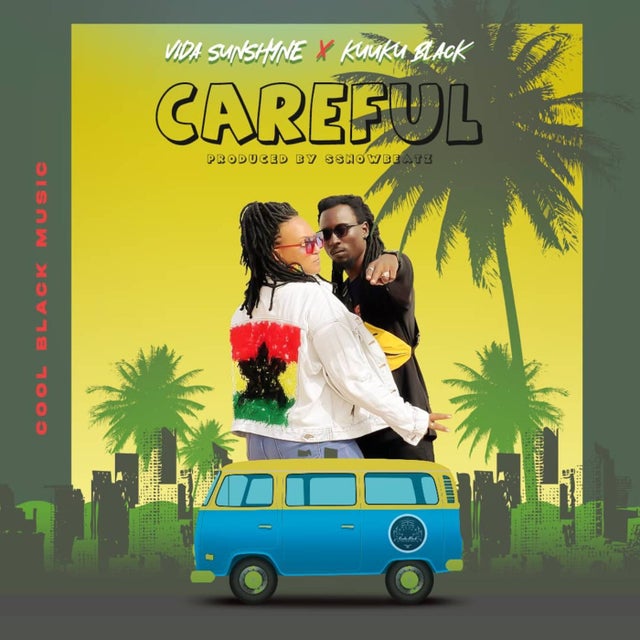 Careful album art