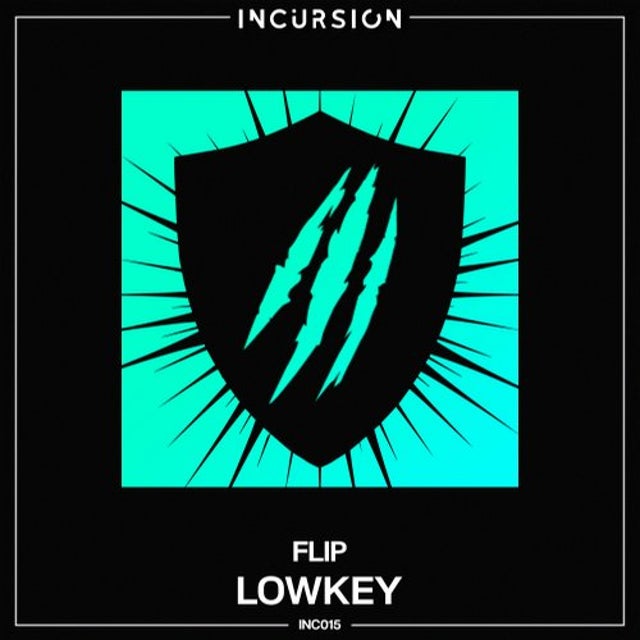 Flip album art