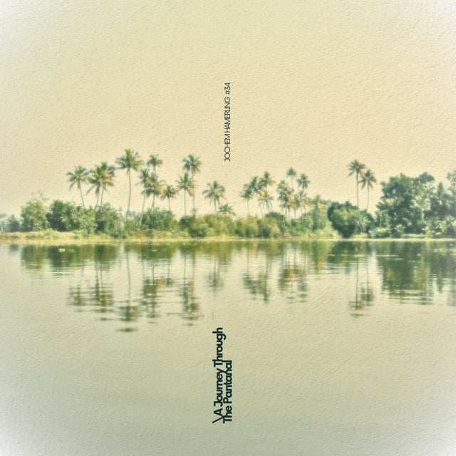 A Journey Through The Pantanal (Full Journey) album art