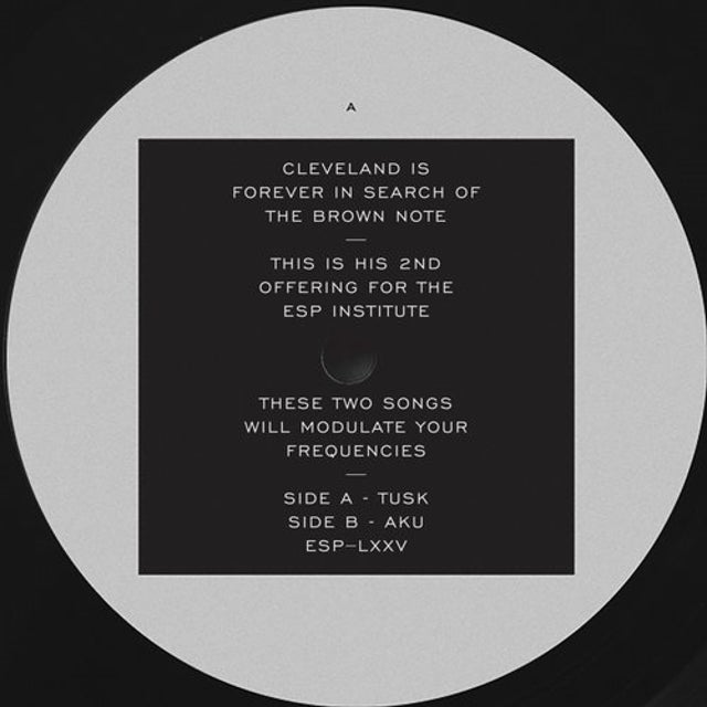Tusk album art