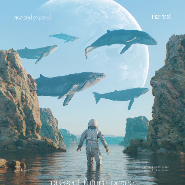 Rise And Expand album art