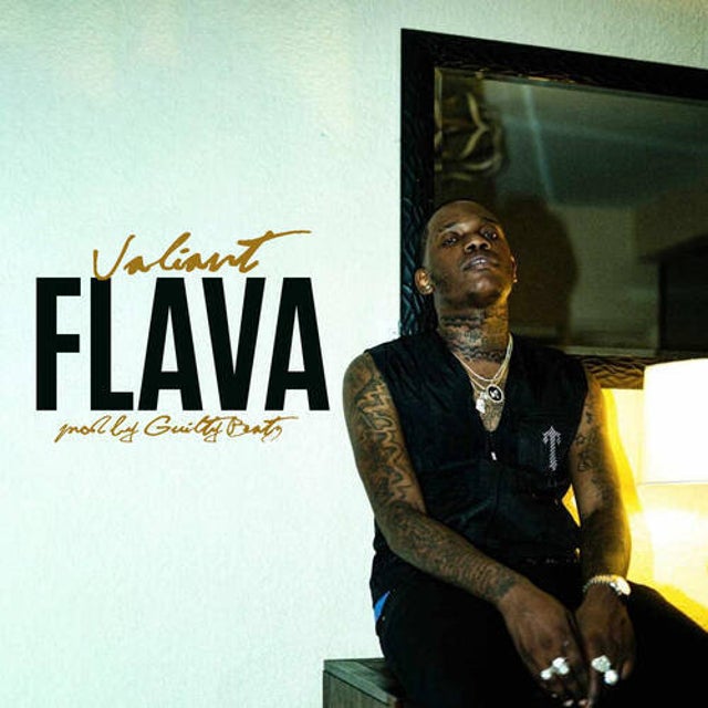 Flava album art