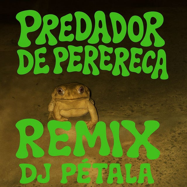 Predador de Perereca - Remix album art