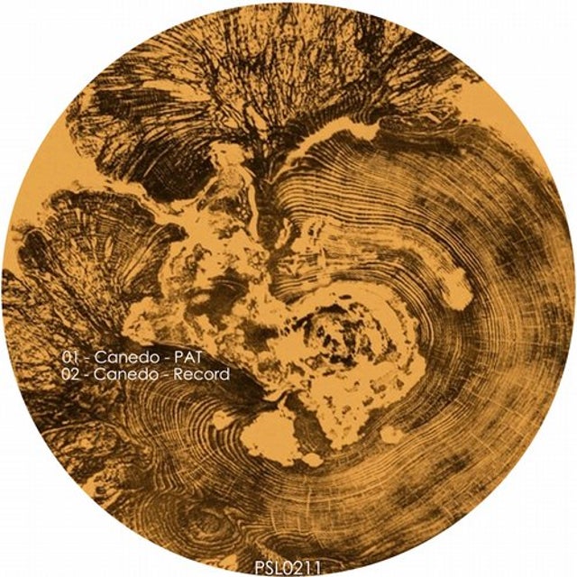 Record album art