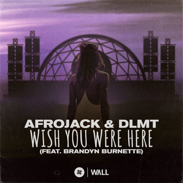 Wish You Were Here (feat. Brandyn Burnette) - Extended Mix album art