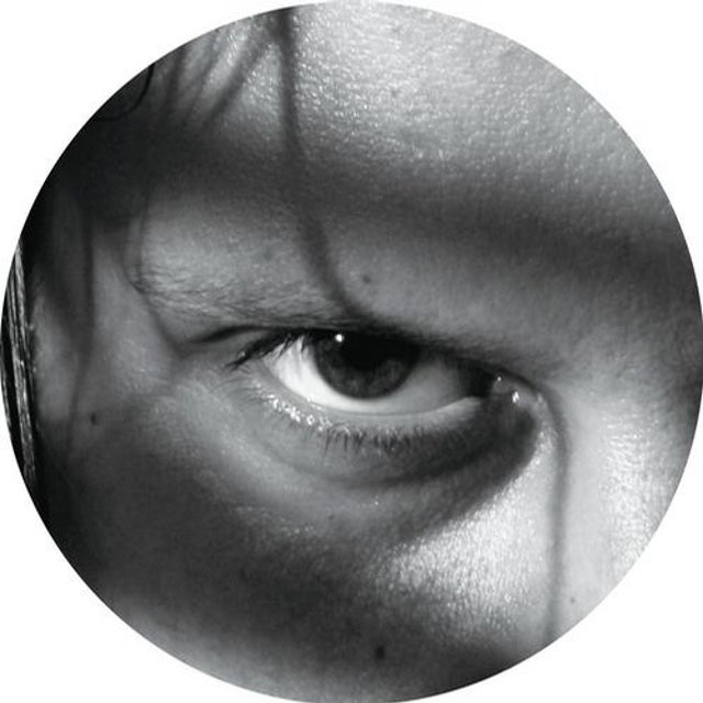Animal In Dub - Ricardo Villalobos Remix album art